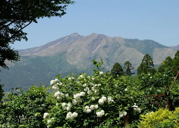 Garden Villa Minamiaso